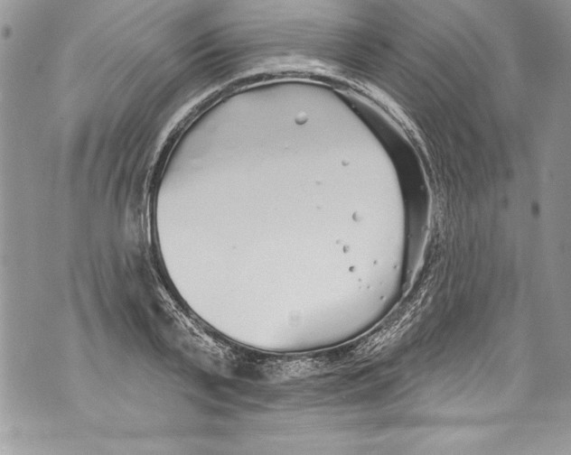 X0000070880791200607150145