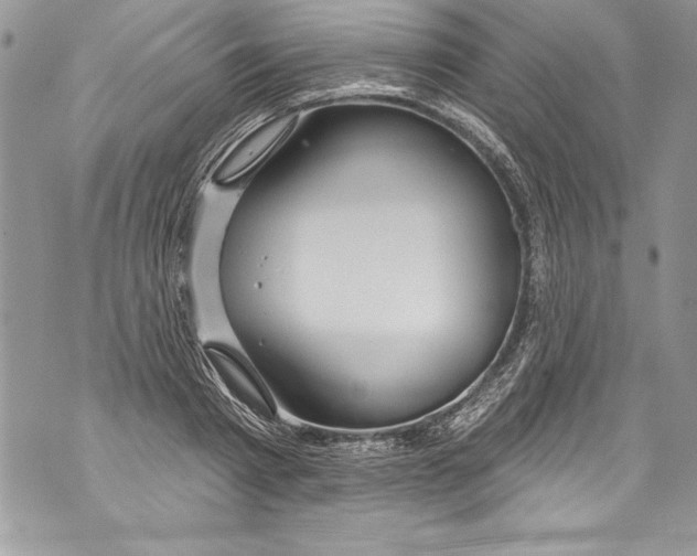 X0000070880793200607150145