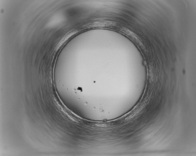 X0000070880794200607150145