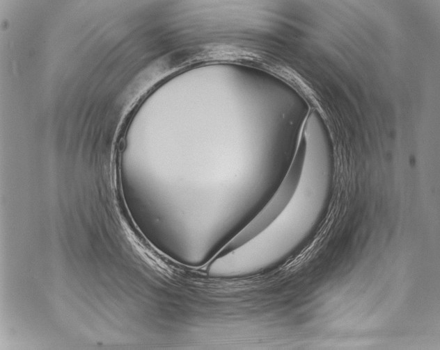 X0000070880795200607150145