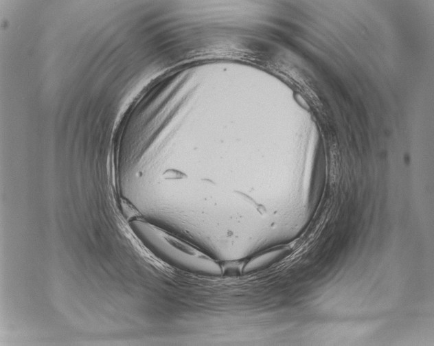 X0000070880796200607150145