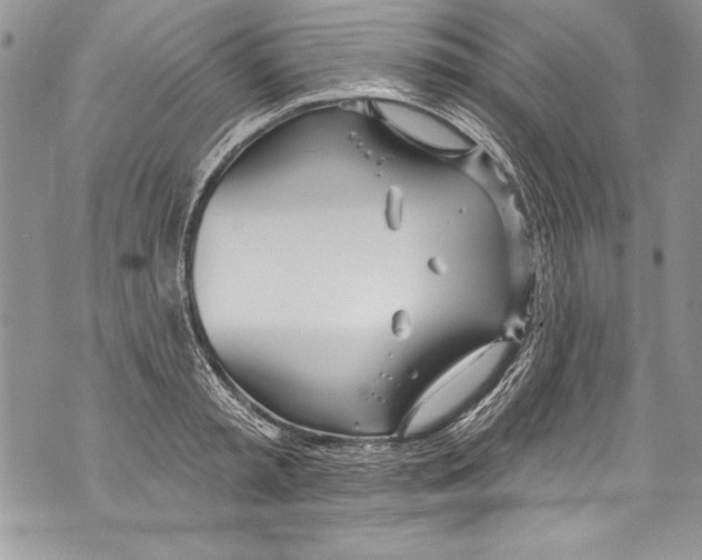 X0000070880797200607150145