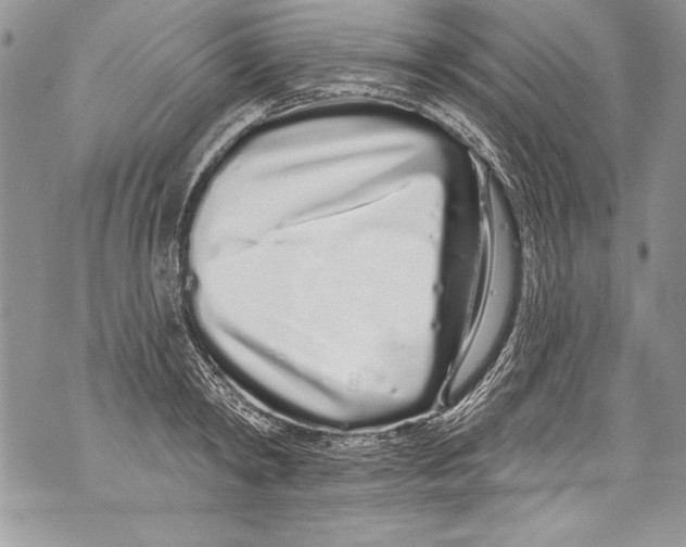 X0000070880798200607150145