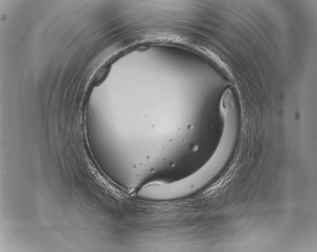 X0000070880799200607150145