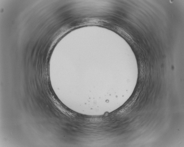 X0000070880800200607150145