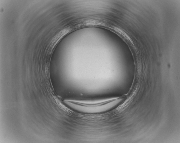 X0000070880801200607150145