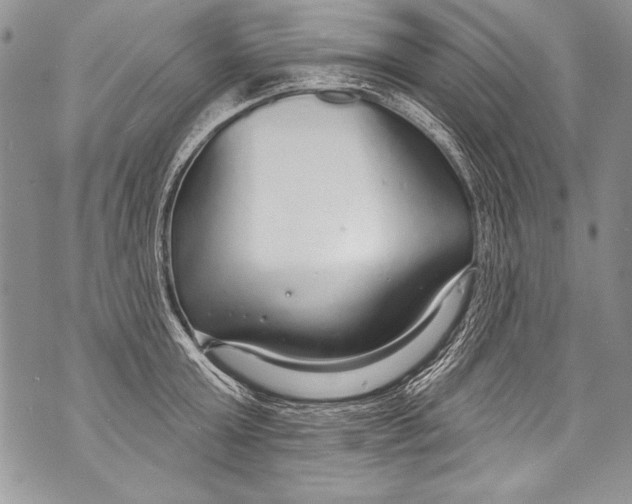 X0000070880803200607150145