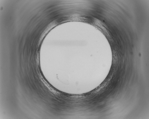 X0000070880804200607150145