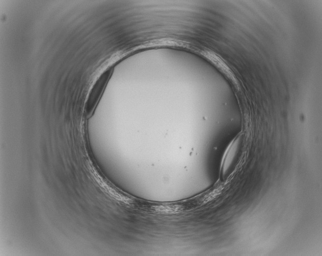 X0000070880805200607150145