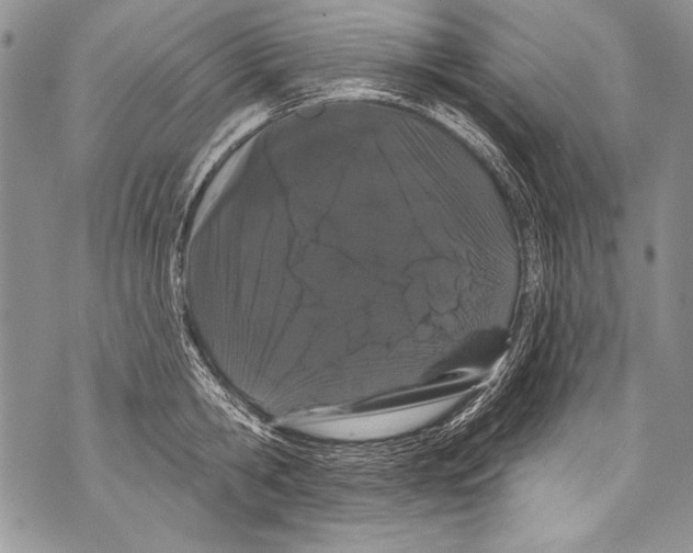 X0000070880806200607150145