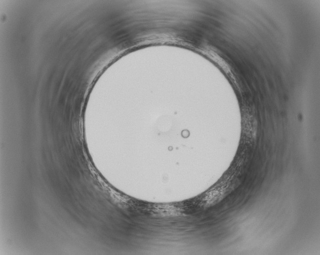 X0000070880807200607150145