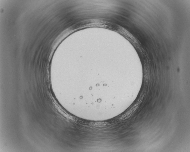 X0000070880808200607150145