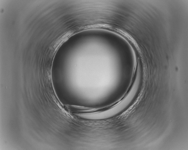 X0000070880809200607150145