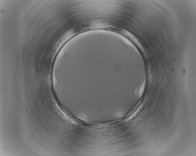 X0000070880810200607150145