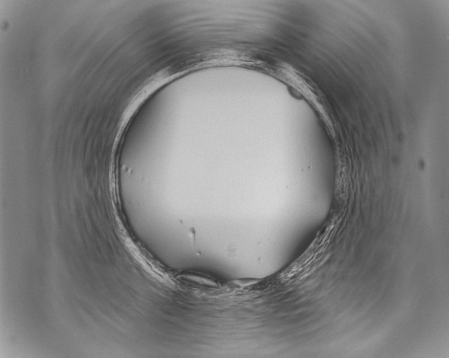 X0000070880811200607150145