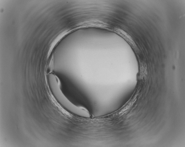 X0000070880812200607150145