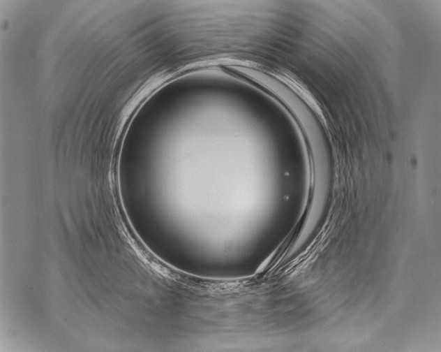 X0000070880813200607150145