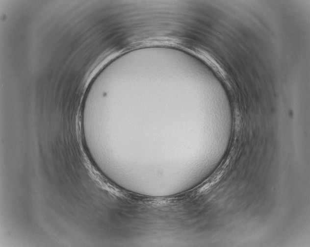 X0000070880814200607150145