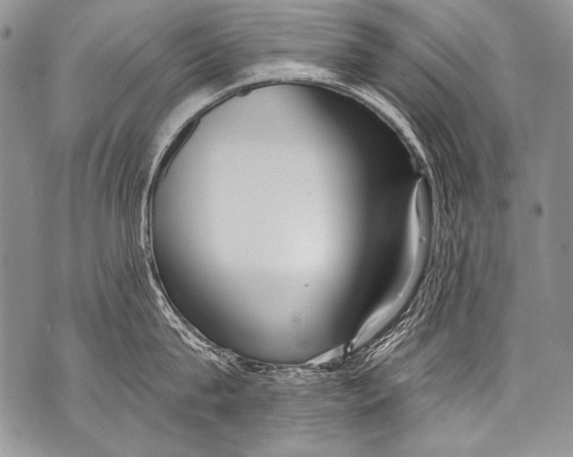 X0000070880815200607150144