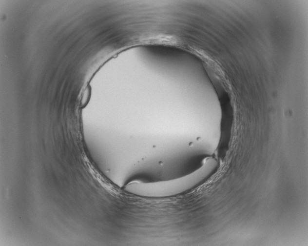 X0000070880816200607150144