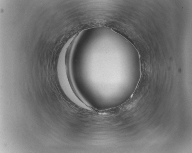 X0000070880818200607150144