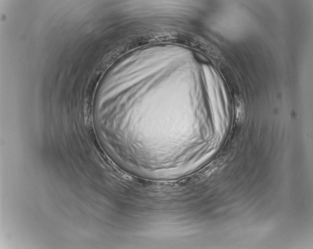 X0000070880819200607150144