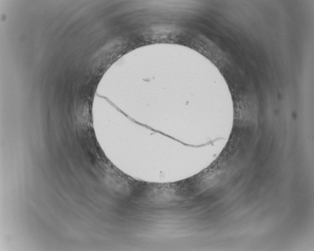 X0000070880820200607150144