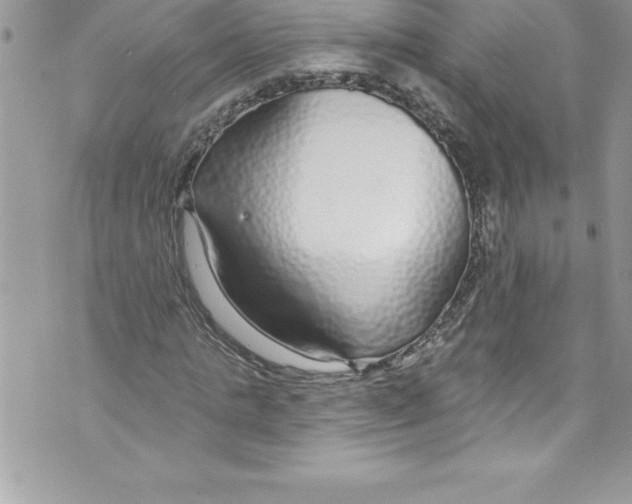 X0000070880821200607150144