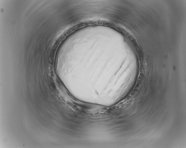 X0000070880823200607150144