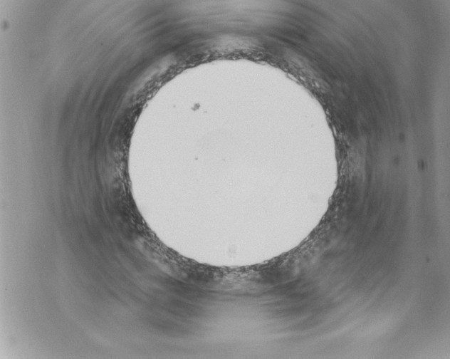 X0000070880824200607150144