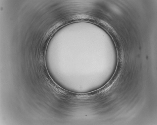 X0000070880825200607150144