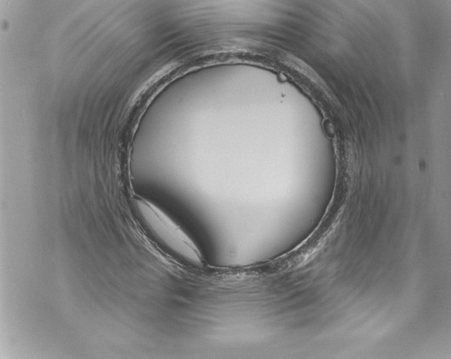 X0000070880826200607150144