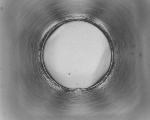 X0000070880827200607150144