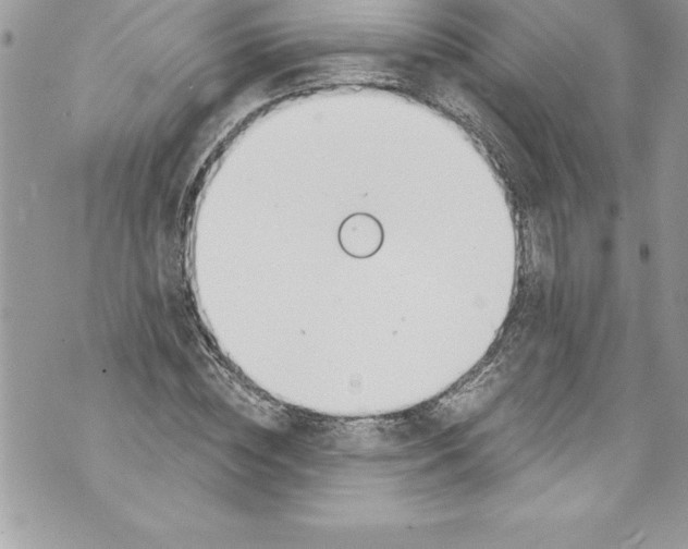 X0000070880828200607150144