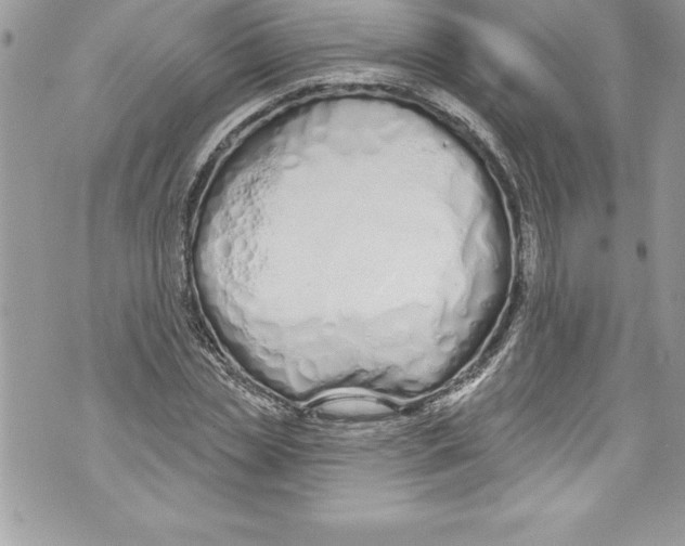 X0000070880829200607150144