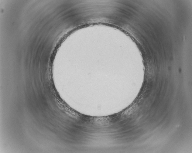 X0000070880832200607150144