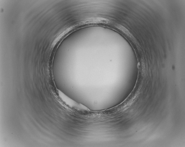 X0000070880834200607150144