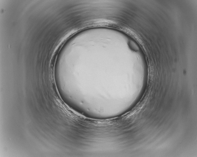 X0000070880835200607150144