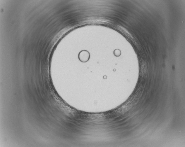 X0000070880836200607150144