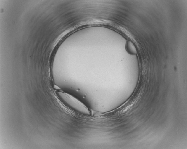 X0000070880837200607150144