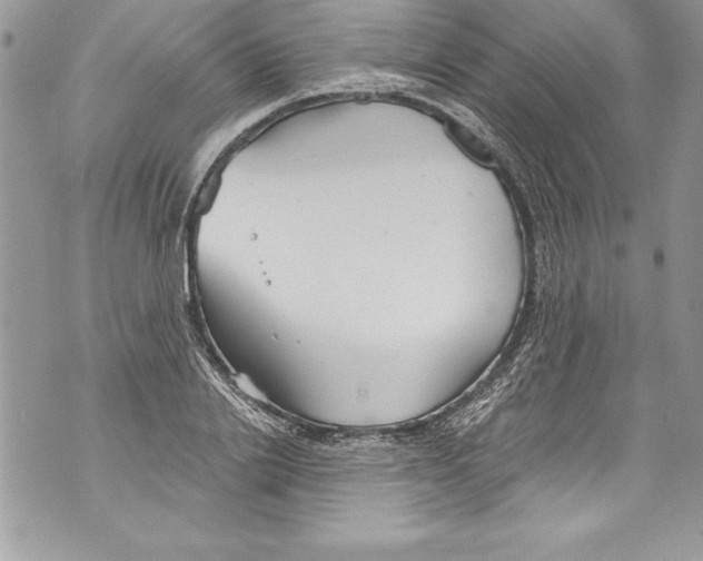 X0000070880838200607150144