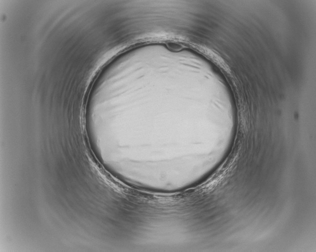 X0000070880839200607150144