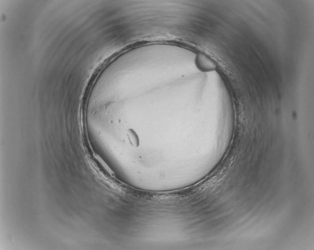 X0000070880840200607150144