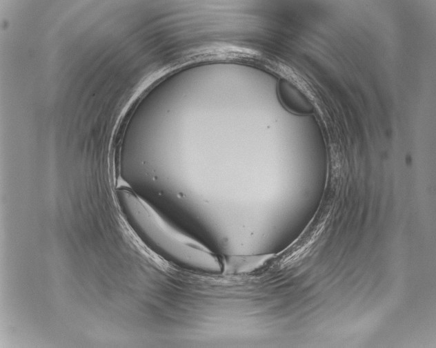 X0000070880843200607150144