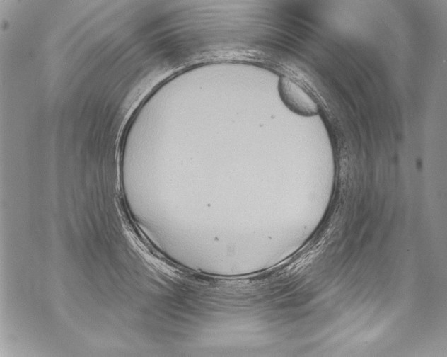 X0000070880844200607150144