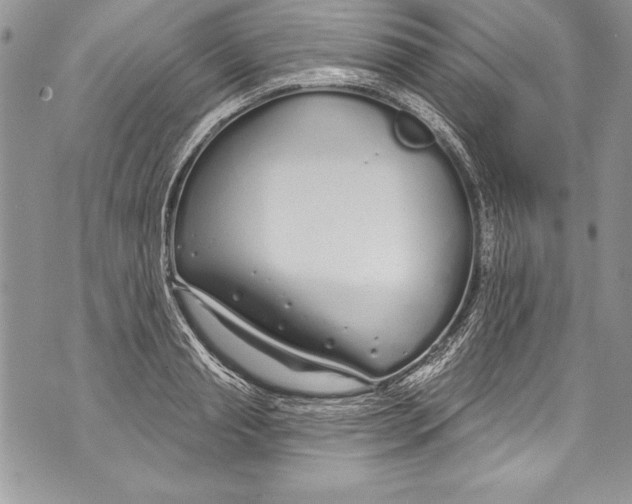 X0000070880845200607150144