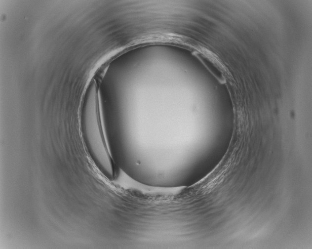 X0000070880846200607150144