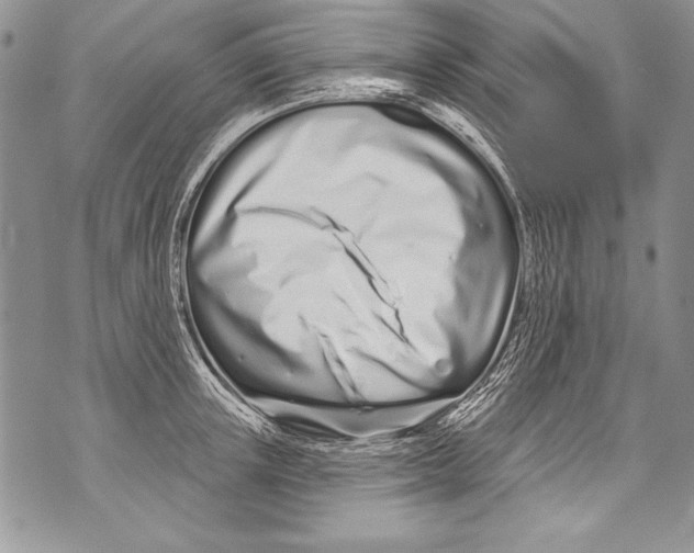 X0000070880851200607150144