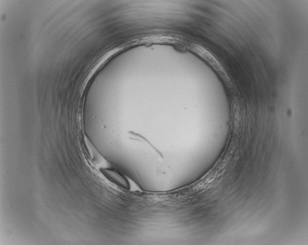 X0000070880852200607150144