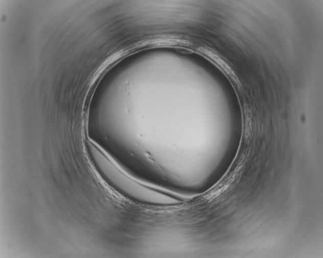 X0000070880853200607150144